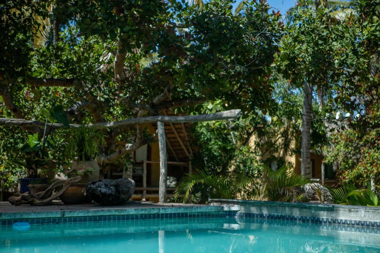 Turtle Cove Lodge And Yoga Shala Praia do Praia do Tofo Εξωτερικό φωτογραφία